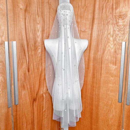 Full back view of the scattered rhinestone and pearl wedding veil in fingertip length, displaying the shimmering stone placement.