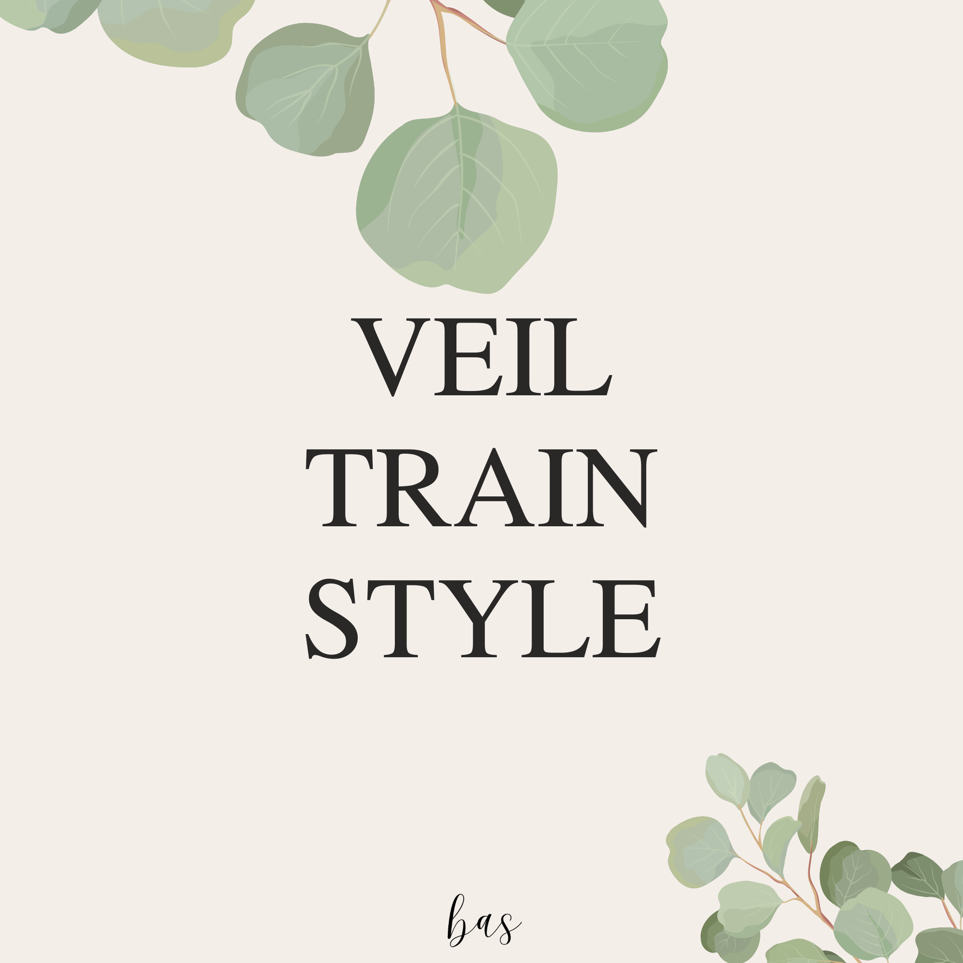 VEIL TRAIN STYLE