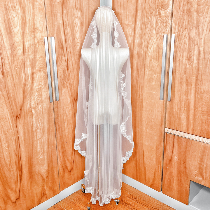 Rear view of a beaded bridal mantilla veil showing the full waltz length silhouette and traditional lace border on a mannequin.