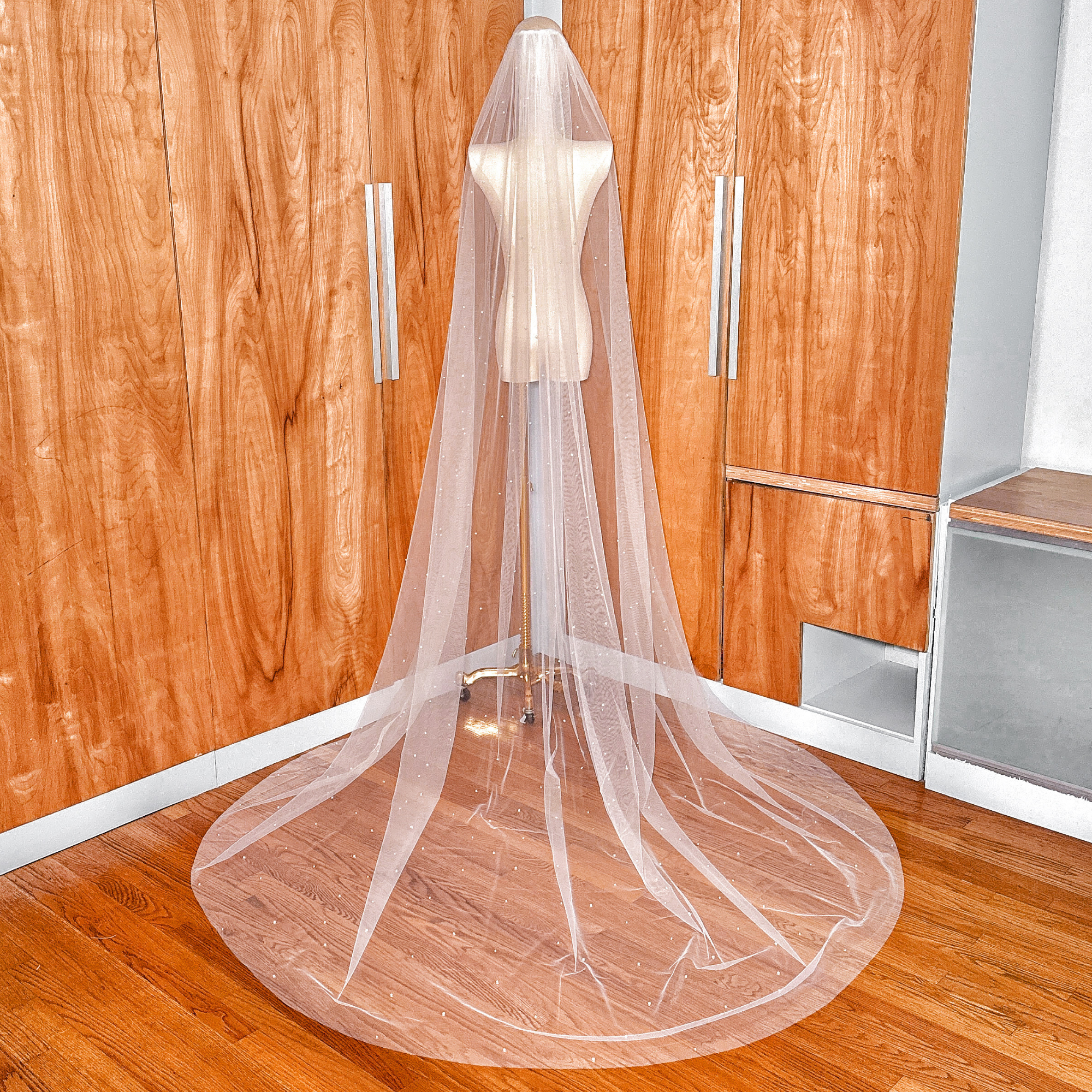 The back view of a sheer cathedral-length wedding veil with delicate pearls cascading down the train.
