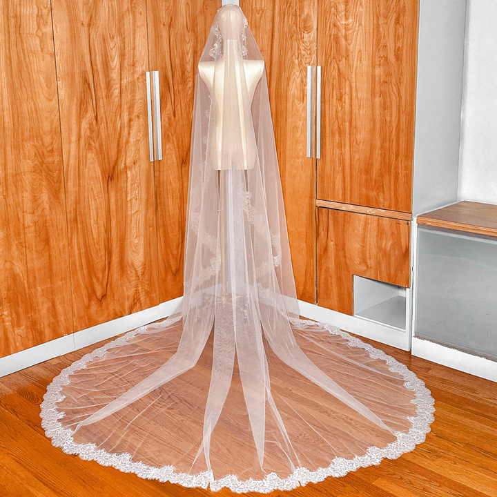 Back view of a cathedral length Chantilly lace mantilla wedding veil on a mannequin, highlighting the intricate floral lace border.