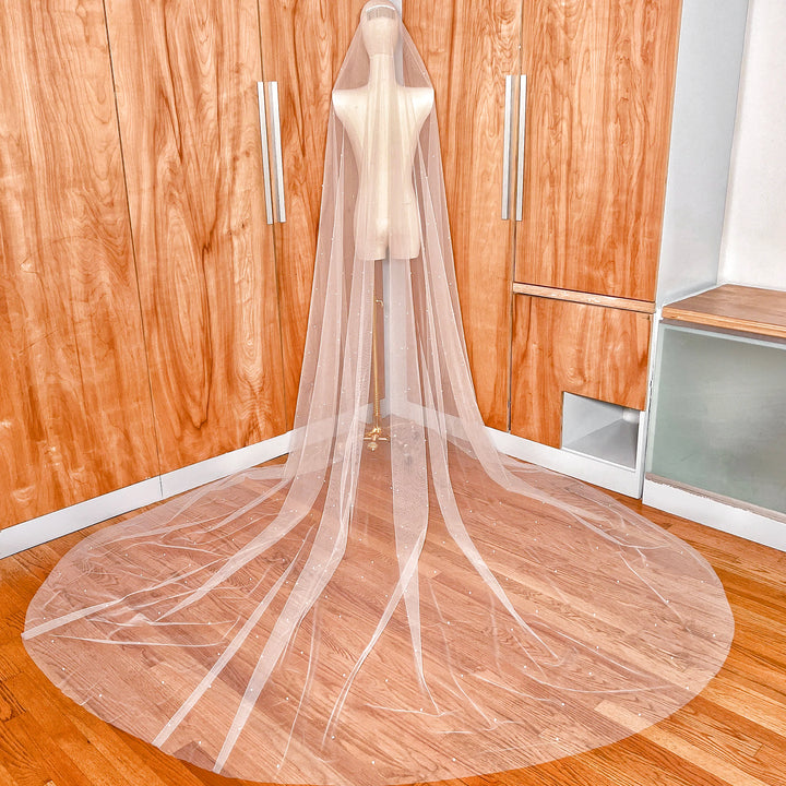 Full back view of an allover pearl wedding veil with a long train showing the elegant flow of the cathedral length tulle.