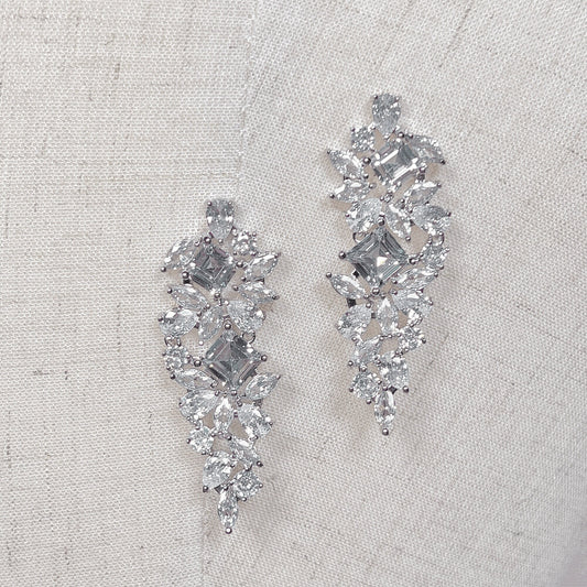Silver Statement Earrings
