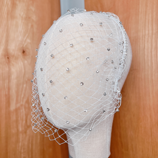 Close-up shot showing the detailed netting and sparkling crystals of the rhinestone birdcage wedding veil.