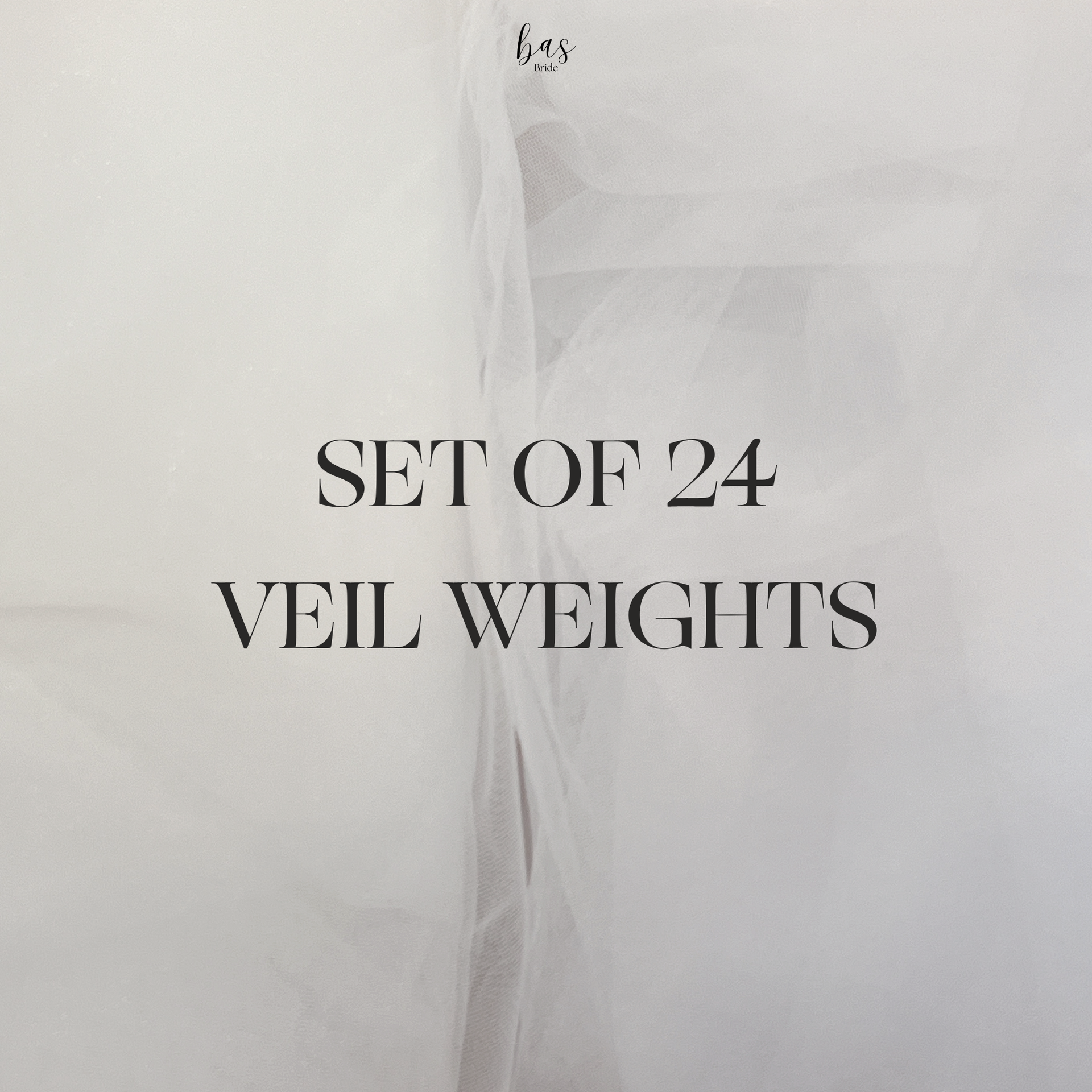 Set of 24 Veil Weights