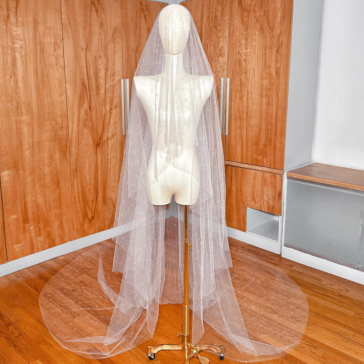 Front view of a two-tier scattered crystal beaded cathedral veil displayed on a bridal mannequin showing the soft blusher layer.